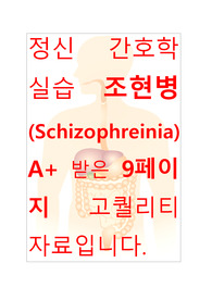 [A+보장]정신간호학실습 조현병(Schizophrenia) 간호과정, 간호진단, 케이스스터디, 컨퍼런스 9페이지 자료입니다.