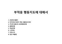 부적응 행동지도에 대해서