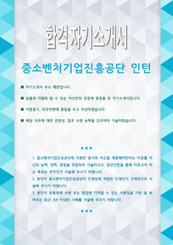 중소벤처기업진흥공단 인턴 자기소개서