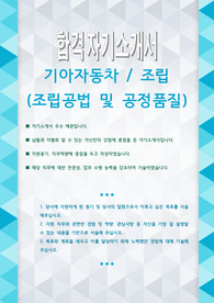 기아자동차 조립 (조립공법 및 공정품질) 자기소개서