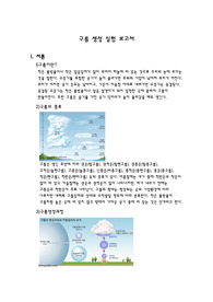 조선대학교 A+ / 구름 생성 실험 보고서 레포트 과제