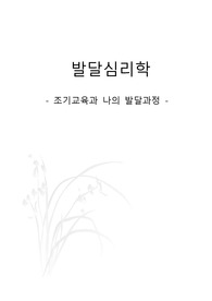 조선대학교 A+ / 발달심리학 - 조기교육과 나의 발달과정 - 레포트 과제