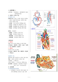 성인간호학 병리학 순환계통 정리