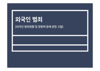 외국인 범죄현황 및 영향력 등에 관한 고찰