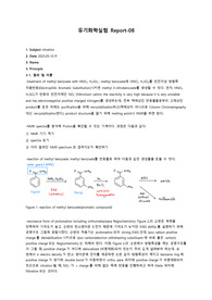 유기화학실험 Nitration