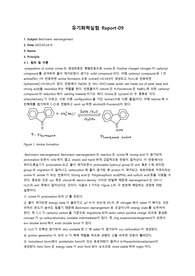 유기화학실험 beckmann rearrangement