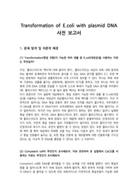 Transformation of E.coli with plasmid DNA 사전 보고서