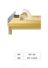 ERP 도입효과