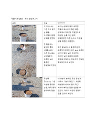 작물기초실험 - 보리, 쌀 생육 관찰 보고서