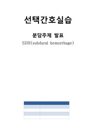 선택간호학 실습 분담주제 SDH