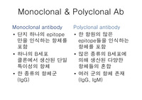 mAB 단클론항체 면역학