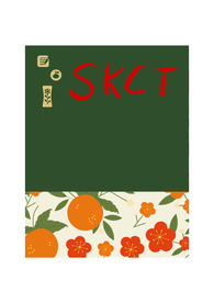 SKCT 스킬 및 문제 풀이 정리본