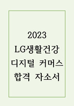 2023 LG생활건강 디지털 커머스 합격 자소서