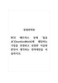 경영전략론_BCG 매트릭스 상에 물음표(QuestionMark)에 해당하는 기업을 선정하고 선정한 이유와 본인이 생각하는 전략대안을 서술하시오.
