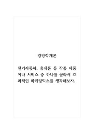 경영학개론_전기자동차, 휴대폰 등 각종 제품이나 서비스 중 하나를 골라서 효과적인 마케팅믹스를 생각해보자.