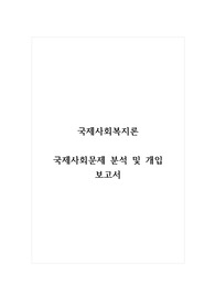 국제사회복지론_국제사회문제 분석 및 개입 보고서