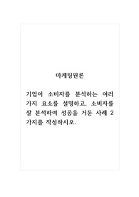 마케팅원론_기업이 소비자를 분석하는 여러 가지 요소를 설명하고, 소비자를 잘 분석하여 성공을 거둔 사례 2가지를 작성하시오.