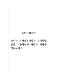 소비자심리학_소비자 의사결정과정과 소비자행동을 기술하면서 자신의 사례를 정리하시오.