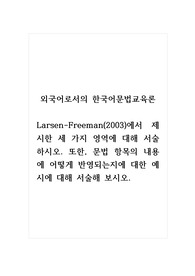 외국어로서의한국어문법교육론_Larsen-Freeman(2003)에서 제시한 세 가지 영역에 대해 서술하시오. 또한, 문법 항목의 내용에 어떻게 반영되는지에 대한 예시에 대해 서술해 보시오.