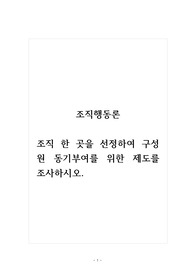조직행동론_조직 한 곳을 선정하여 구성원 동기부여를 위한 제도를 조사하시오.
