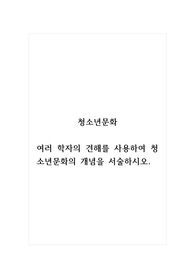청소년문화_여러 학자의 견해를 사용하여 청소년문화의 개념을 서술하시오.