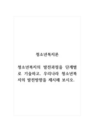 청소년복지론_청소년복지의 발전과정을 단계별로 기술하고, 우리나라 청소년복지의 발전방향을 제시해 보시오.