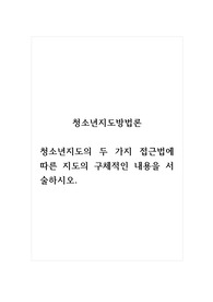 청소년지도방법론_청소년지도의 두 가지 접근법에 따른 지도의 구체적인 내용을 서술하시오.