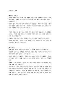 프랑스의  명물