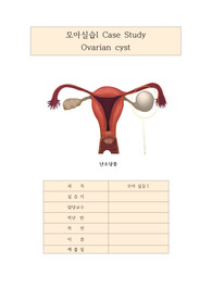 모성간호학 난소종양 CASE STUDY( 수술과 관련된 급성통증, 침습적인 처치와 관련된 감염위험성, 신체기능저하와 관련된 낙상위험성, 전신마취로 인한 장운동 저하와 관련된 변비 위험성