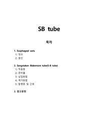 SB TUBE-정맥류 환자 치료방법,삽입방법