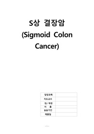 A++ S상 결장암 케이스 최종 -(성인간호학 실습)