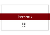 빅데이터 활용 조사 PPT