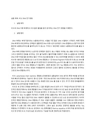 [A+] PCR, DNA 전기영동 실험 레포트