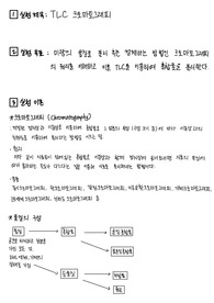 [A+] TLC 크로마토그래피 예비 보고서