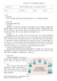 A+ 양파뿌리 생장점을 이용한 각 시기별 체세포 분열 관찰 레포트