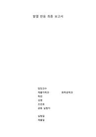 A+ / 발열 반응 실험 최종 보고서