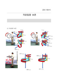 A+ / 각운동량보존 레포트