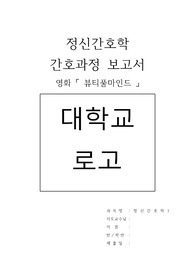 정신간호학 영화 뷰티풀마인드 간호과정 보고서