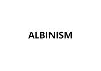 albinism/백색증