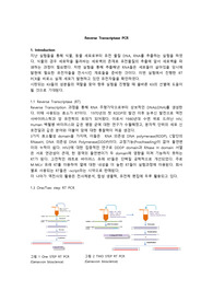 RT(역전사효소) PCR 실험 보고서