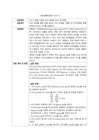 PCR 기법을 이용한 DNA 복제와 DNA 전기영동 실험 보고서