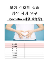 모성간호학실습 A+케이스, 자궁축농증(pyometra), 모성실습 A+, 흔하지 않은 케이스