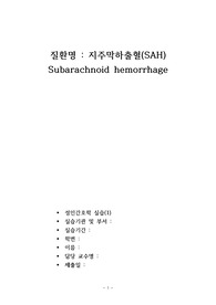 지주막하출혈(SAH) 간호과정 2개,