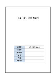A+ 응급 재난 간호 보고서