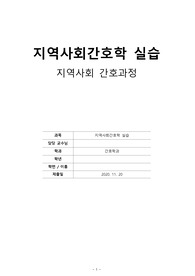 지역사회간호학 간호과정(오마하 간호중재틀, SWOT 분석 포함)