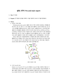 일반화학실험2 풀레포트-전기영동
