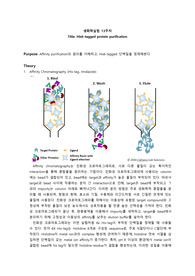 13주차_His-tagged protein purification