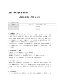 사회복지정책 분석 보고서