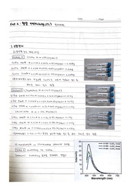 [물리화학실험2] 실험2_결과레포트_형광 Quenching