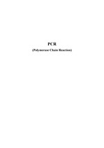 [생화학, 생명과학, 분자생물 실험] PCR(중합효소연쇄반응) (한글버전)